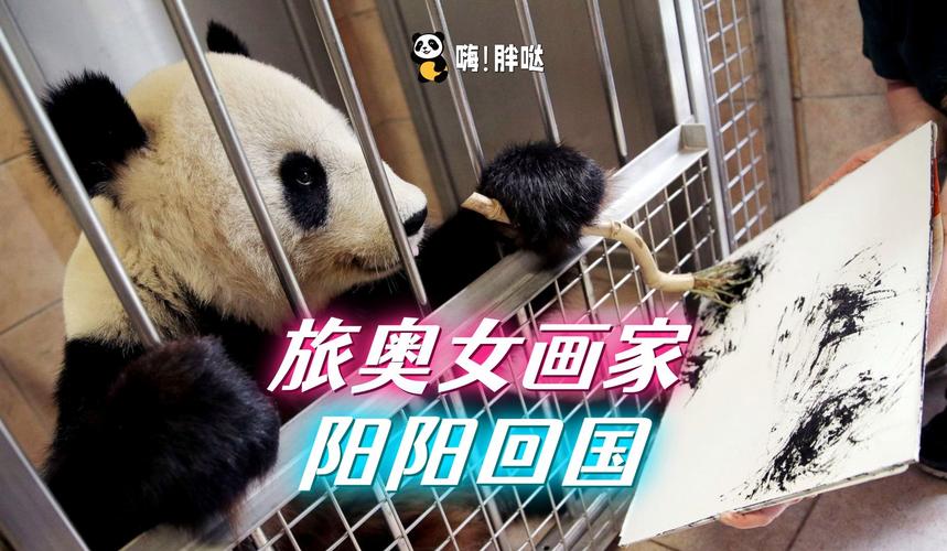新澳门今晚开奖结果开奖号码查询和4旅日大熊猫将回国与旅日20年熊猫将回国 视频