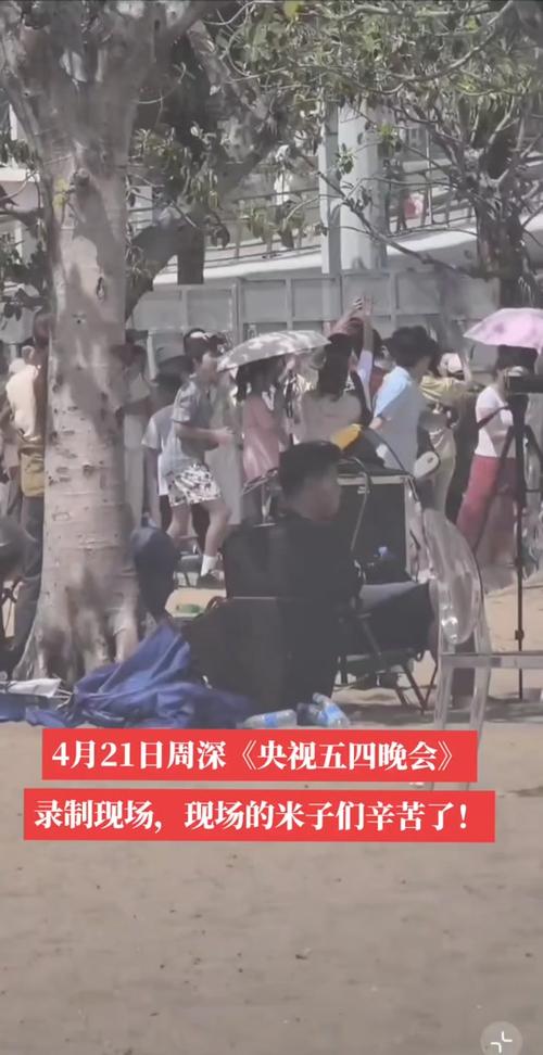 2025年澳门天天彩大全和央视端午晚会与央视端午晚会2025
