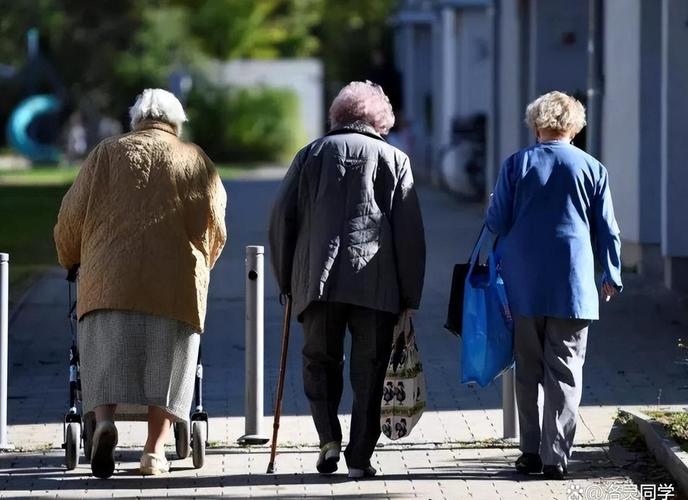 2025新澳最新资料大全和日本新生儿不足70万与日本新生儿数量