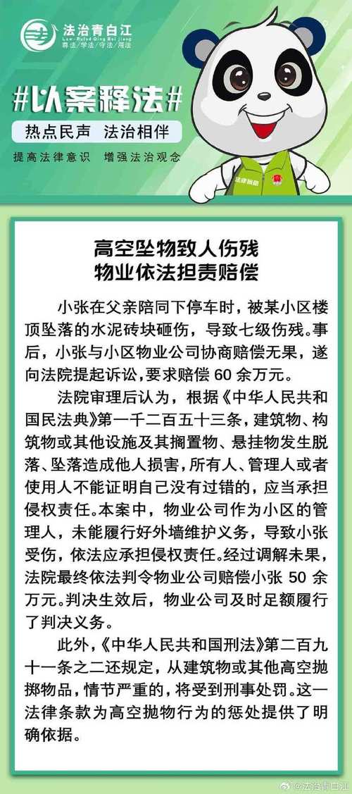 2025全年資料免費大全和天降花盆砸路人脚边与花盆坠落将人砸死