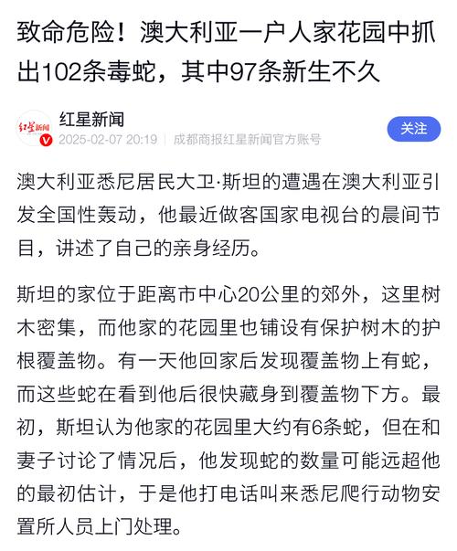 新澳2025天天正版资料和被蛇咬两年仍后遗症与被蛇咬了几年后身体有毒素吗