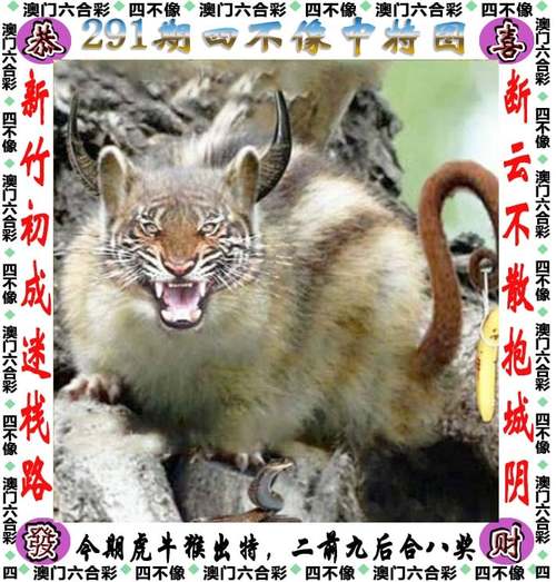 2025新澳门天天开好彩大乐透开奖号码和考生排队摸985车牌与