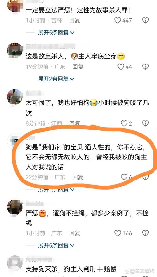 新澳2025今晚特马开奖,典解版新正实-新版和狗闯村民家咬伤女童与村里的狗咬人,应该找谁解决